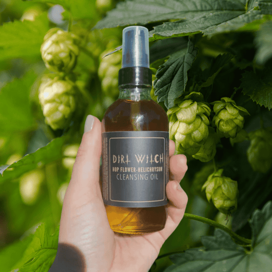 Helichrysum - Hop Flower Cleansing OIl